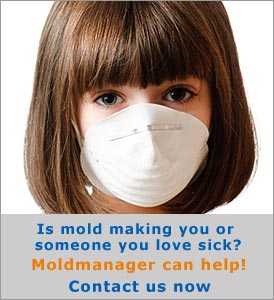 Little girl wearing a particulate mask